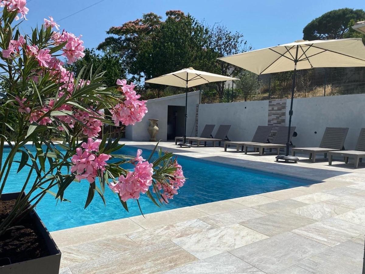 Apartment Pasturella Bastia (Corsica)